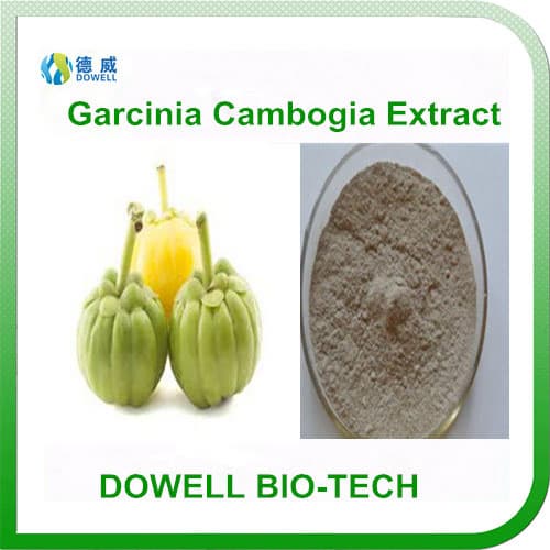 Garcinia Combogia Extract HCA _Hydrogen Citric Acid_